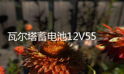 瓦尔塔蓄电池12V55AH适配凯越乐风乐驰骋景程指南者汽车电瓶86610