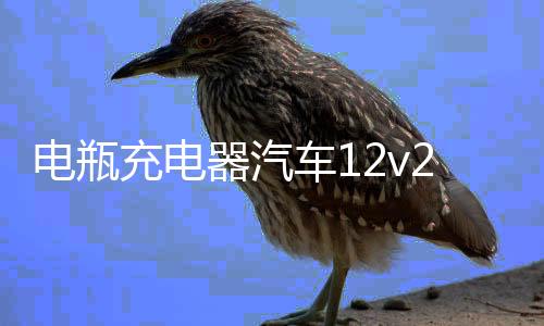 电瓶充电器汽车12v24v车用电池大功率纯铜通用型摩托蓄电池充电机