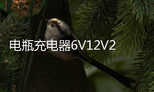 电瓶充电器6V12V24V大功率多功能纯铜通用型蓄电池汽车电池充电机