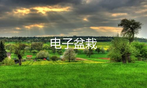 电子盆栽