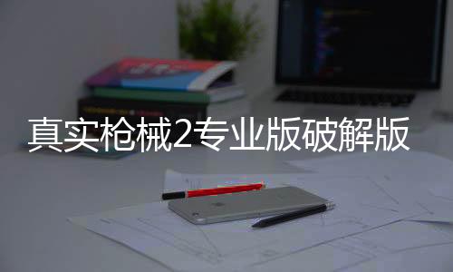 真实枪械2专业版破解版