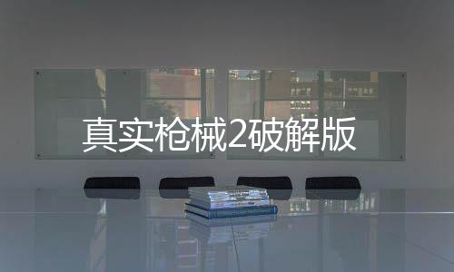 真实枪械2破解版