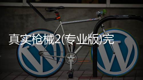 真实枪械2(专业版)完整版