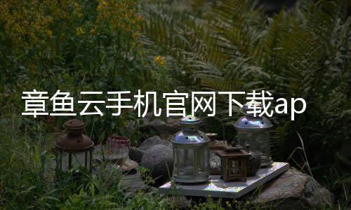 章鱼云手机官网下载app 1.2.16