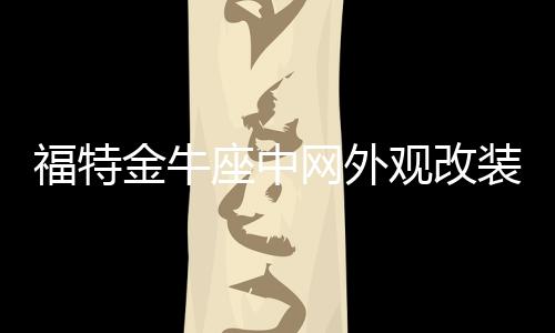 福特金牛座中网外观改装前脸保险杠车标大包围前铲专用装饰条配件