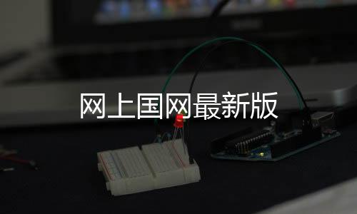 网上国网最新版