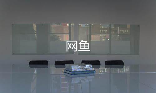 网鱼