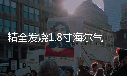 精全发烧1.8寸海尔气动式超带式喇叭单元 汽车高音头AMT-47