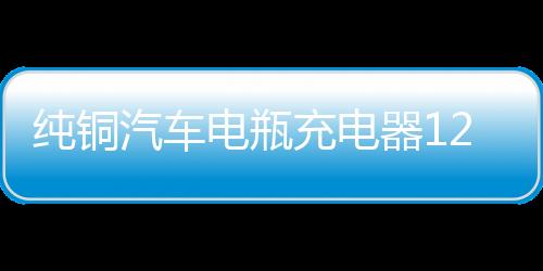 纯铜汽车电瓶充电器12V24V伏大功率全智能充满自动停通用型多功能