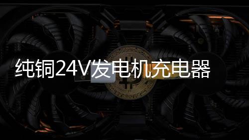 纯铜24V发电机充电器12V叉车货车通用大功率蓄电池电瓶汽车充电器