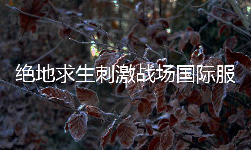 绝地求生刺激战场国际服(PUBG MOBILE)