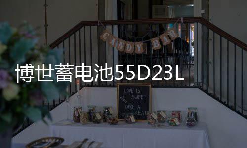 博世蓄电池55D23L适配雅力士花冠卡罗拉逸致名图朗动悦动汽车电瓶