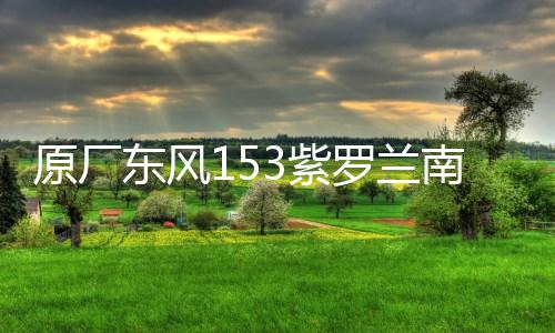 原厂东风153紫罗兰南骏1063小财神145大运嘉龙前大灯总成雾灯总成