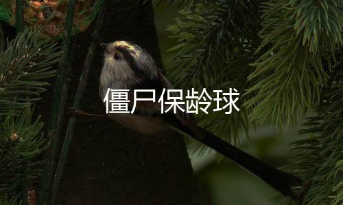 僵尸保龄球