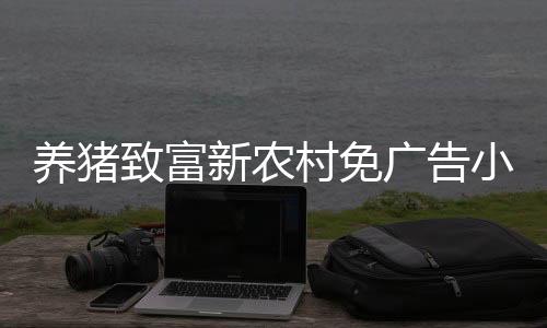 养猪致富新农村免广告小游戏