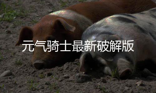 元气骑士最新破解版