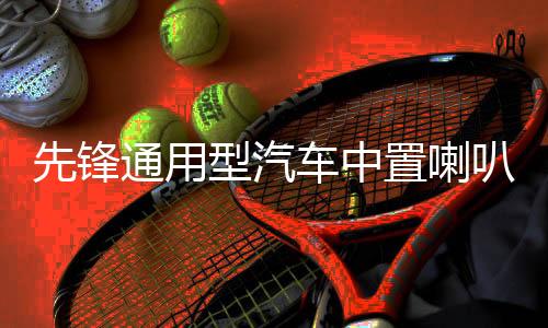 先锋通用型汽车中置喇叭2.5寸中音音响喇叭改装环绕扬声器升级