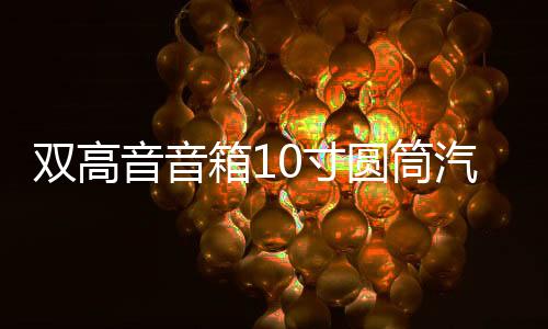 双高音音箱10寸圆筒汽车低音炮车载重低音炮有源家庭音响12/220V