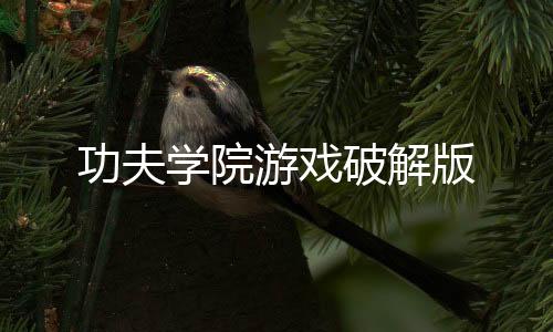 功夫学院游戏破解版