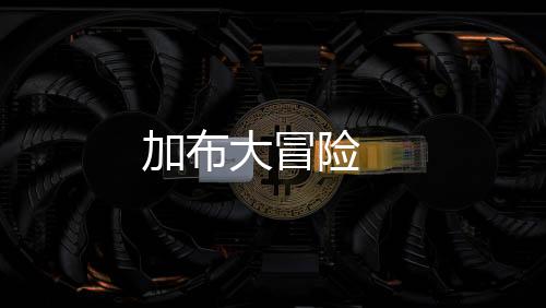 加布大冒险