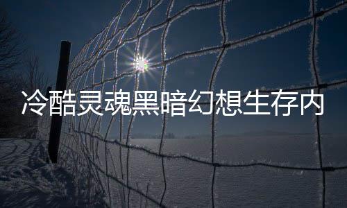 冷酷灵魂黑暗幻想生存内置修改器