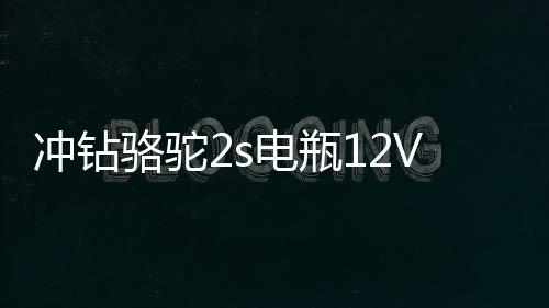 冲钻骆驼2s电瓶12V面包车6-QW-45AH46B24lLR汽车蓄电池