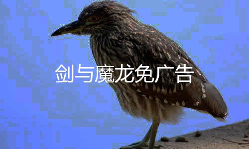 剑与魔龙免广告