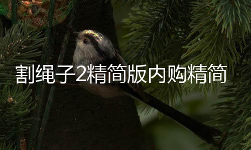 割绳子2精简版内购精简版