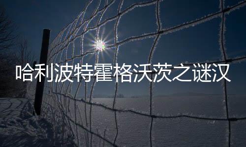 哈利波特霍格沃茨之谜汉化破解版