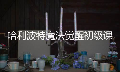 哈利波特魔法觉醒初级课堂怎么变高级 课堂玩法攻略