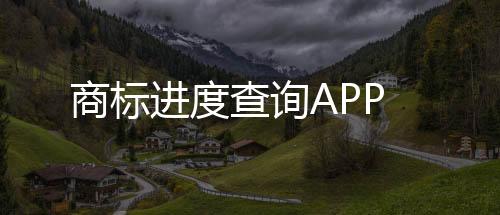 商标进度查询APP