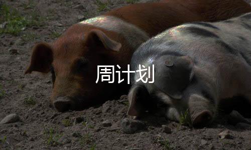 周计划