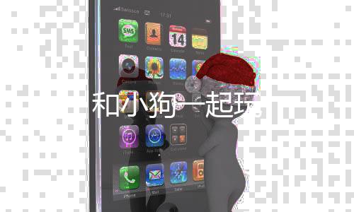 和小狗一起玩