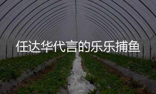 任达华代言的乐乐捕鱼