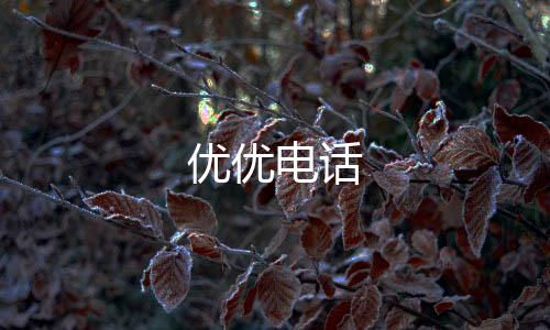 优优电话