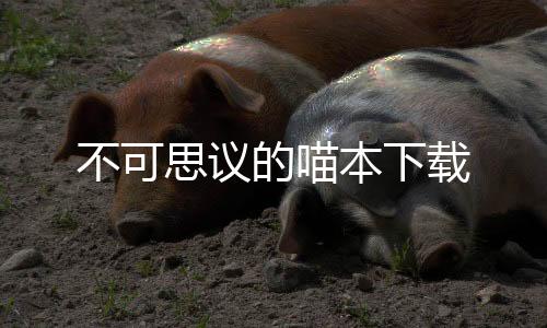 不可思议的喵本下载