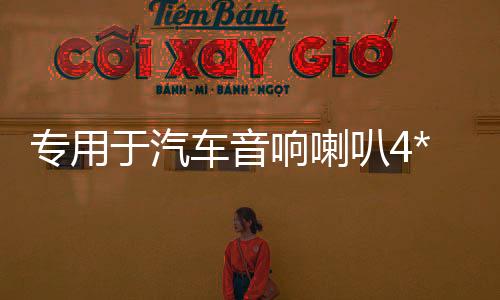 专用于汽车音响喇叭4*6普桑前门吉利帝豪旗云奇瑞QQ后备箱台改装