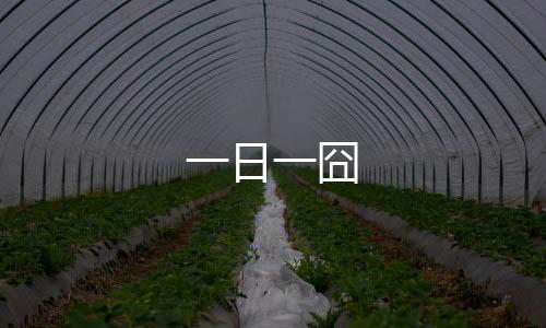一日一囧