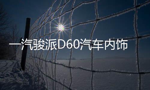 一汽骏派D60汽车内饰中控改装配件专用仪表台防晒隔热遮光避光垫