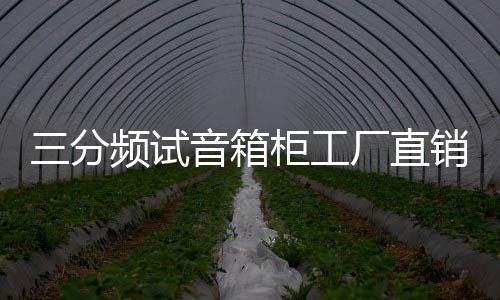 三分频试音箱柜工厂直销汽车音响改装店音响箱柜组合低音炮箱包邮