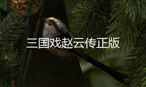 三国戏赵云传正版