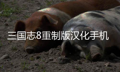 三国志8重制版汉化手机版