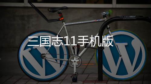 三国志11手机版