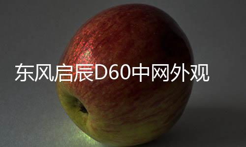 东风启辰D60中网外观改装配件汽车前脸保险杠防护用品专用装饰条