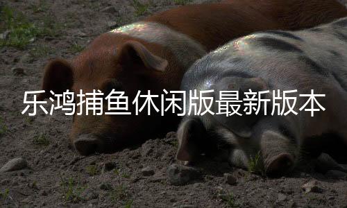 乐鸿捕鱼休闲版最新版本