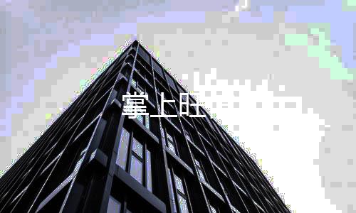 掌上旺信
