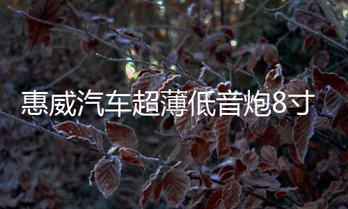 惠威汽车超薄低音炮8寸车载车用音响超重低音改装有源自带功放12V