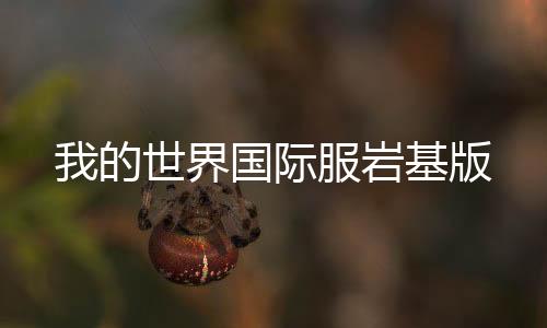 我的世界国际服岩基版