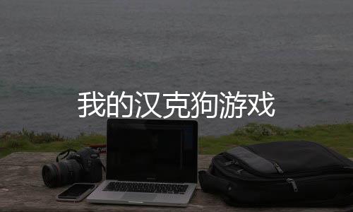 我的汉克狗游戏