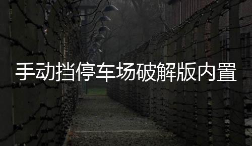 手动挡停车场破解版内置菜单汉化版